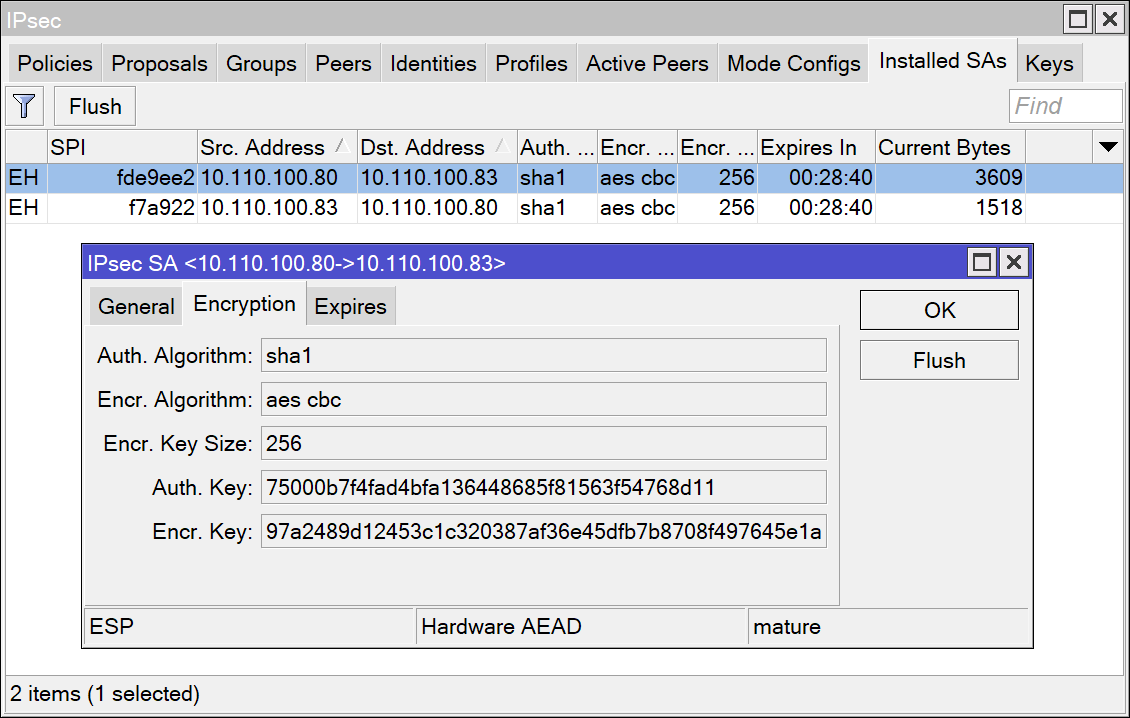 ipsec-sa.webp